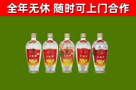 文峰烟酒回收公斤五粮液.jpg